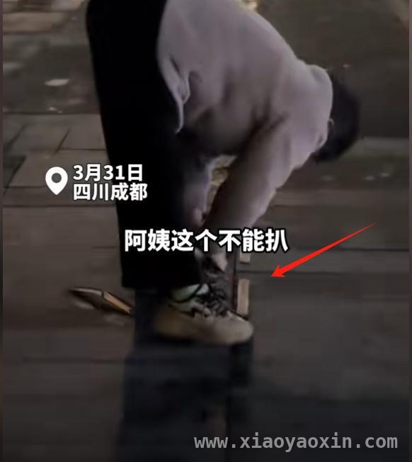 从大妈撬盲道到大爷偷工地，贪小便宜吃大亏何时休？，盲道危机：大妈撬条引深思，贪小便宜终酿大祸
