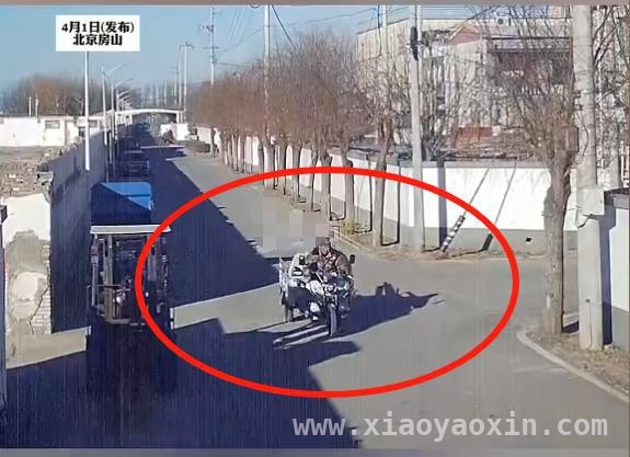 从大妈撬盲道到大爷偷工地，贪小便宜吃大亏何时休？，盲道危机：大妈撬条引深思，贪小便宜终酿大祸