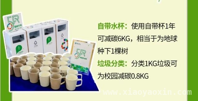 探秘上海“无废城市”：从指标到生活的绿色变革
