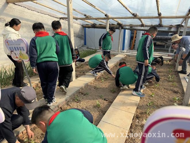 陈庄镇中心小学：春季蔬菜种植活动开启劳动教育新篇