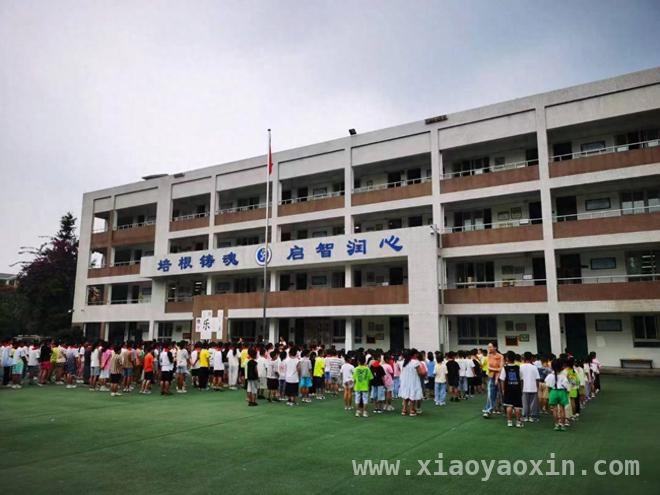 新津随迁子女入学政策再优化，孩子入学“零门槛、随时办”！，4月起新津随迁子女入学大变革，家长入学难题轻松解决！