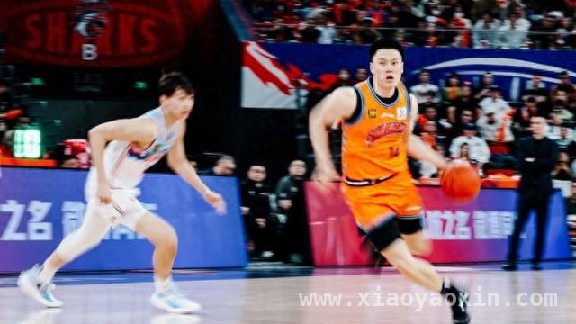 聚焦CBA常规赛MVP：胡金秋、杨瀚森、徐杰谁能登顶？