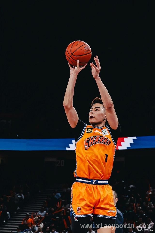 聚焦CBA常规赛MVP：胡金秋、杨瀚森、徐杰谁能登顶？