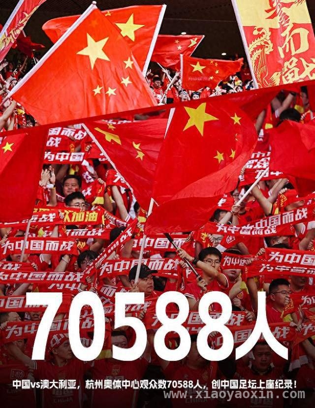 虽输球但经济火爆，国足世预赛背后的惊人效益与晋级困境