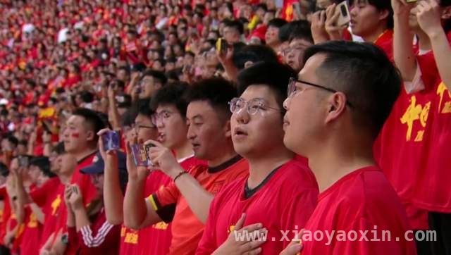虽输球但经济火爆，国足世预赛背后的惊人效益与晋级困境
