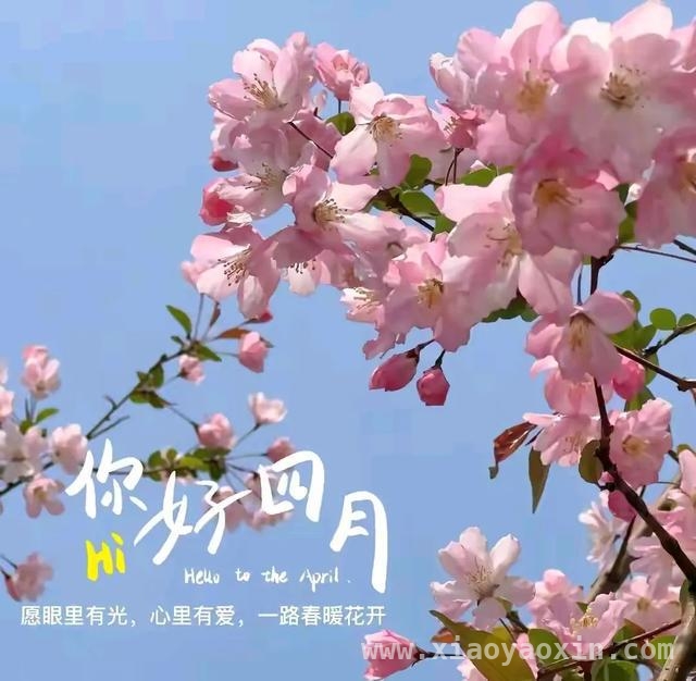 人间四月，邂逅桃花盛景，四月桃花烂漫时，感受生命之美