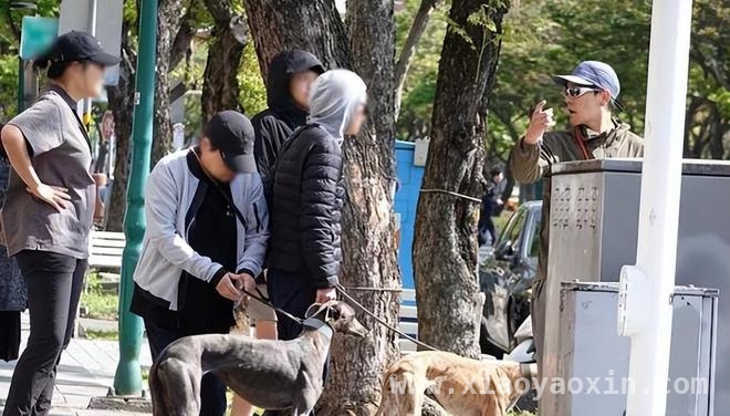 彭于晏遛狗被拍，和家人的相处太有爱啦！ 彭于晏全家出动遛狗，温馨画面太治愈！