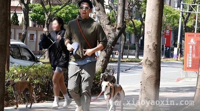 彭于晏遛狗被拍，和家人的相处太有爱啦！ 彭于晏全家出动遛狗，温馨画面太治愈！