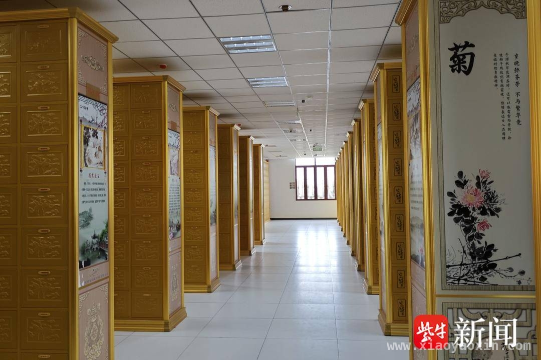 绿色清明：南京殡葬服务场所的文明新实践，南京殡葬改革：让清明祭扫告别传统走向文明