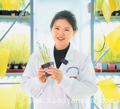 各领域青年才俊，引领时代新征程