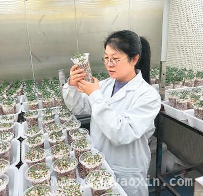各领域青年才俊，引领时代新征程