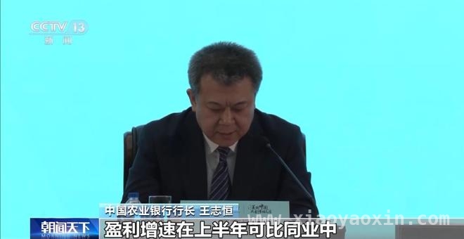 A股上市金融机构2024年年报揭秘：行业增长态势与未来布局，2024年银行保险年报：盈利创新高，2025年发展可期