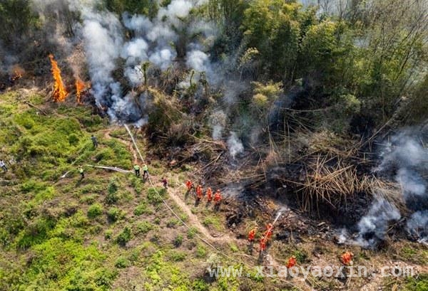 国网永川供电公司多举措筑牢森林“防火墙” 永川森林火灾应急演练与宣传活动成效显著