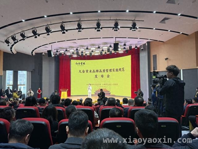 九台贡米：历史底蕴与现代标准融合，迈向高端市场，九台贡米发布规范，携手各方打造百亿级产业集群