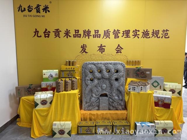九台贡米：历史底蕴与现代标准融合，迈向高端市场，九台贡米发布规范，携手各方打造百亿级产业集群