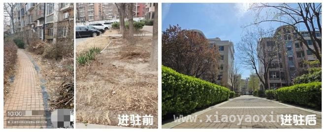 天津老旧小区适老化改造：万科物业温暖长者生活，万科物业进驻天津老旧小区，开启适老化服务新篇章