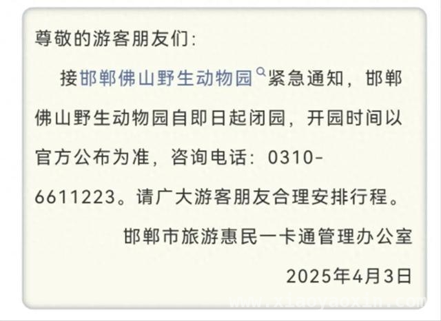 惊！河北邯郸佛山野生动物园熊出逃，多方搜寻仍无果