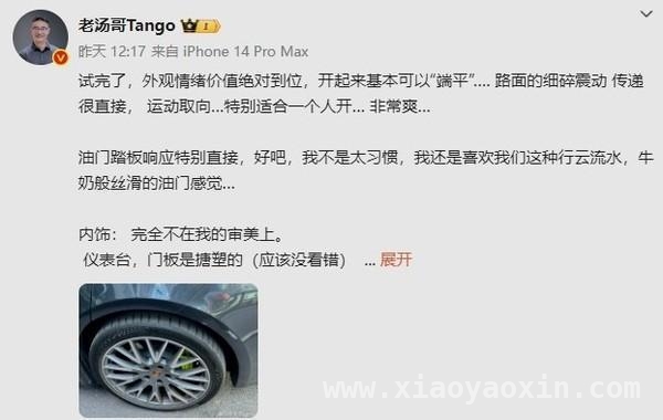 汤靖试驾保时捷Panamera 4 E - Hybrid，亮点与槽点齐飞！，理想汤靖评保时捷：外观惊艳，内饰与价格却令人纠结？