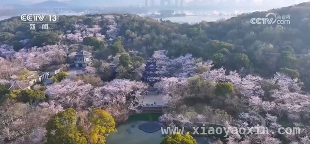 清明假期：交通繁忙，旅游多元新体验，清明假期交通出行与旅游市场火爆来袭