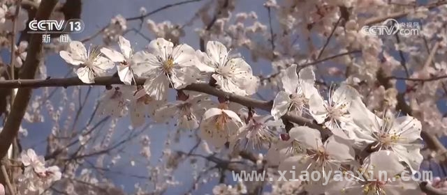 清明假期：交通繁忙，旅游多元新体验，清明假期交通出行与旅游市场火爆来袭