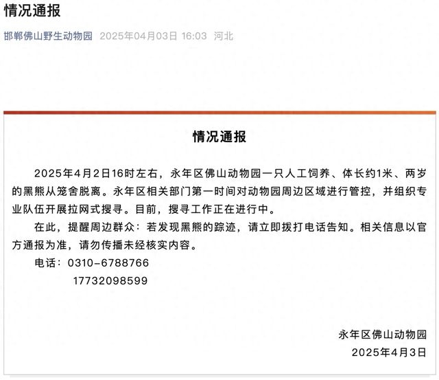 邯郸佛山野生动物园惊现黑熊出逃，周边民众需警惕！