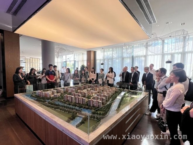 中国太平2024年报：投资实力凸显，国家战略布局成效显著，中国太平：2024年投资与战略双驱动，驶向发展新蓝海