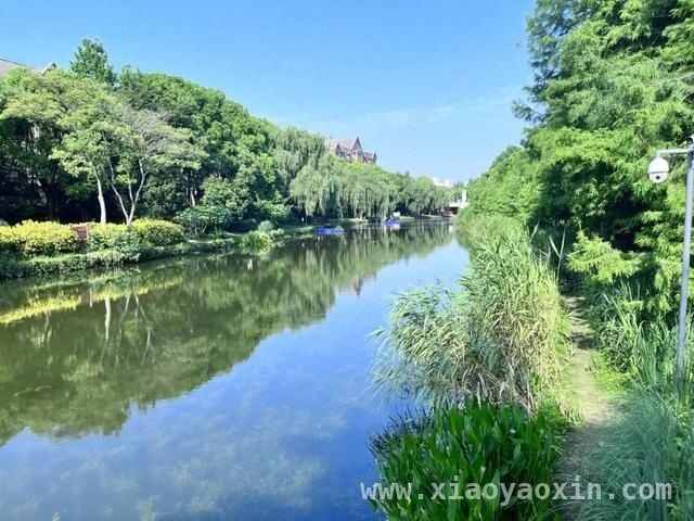 纬五河蜕变：超大城市水环境治理的成功样本