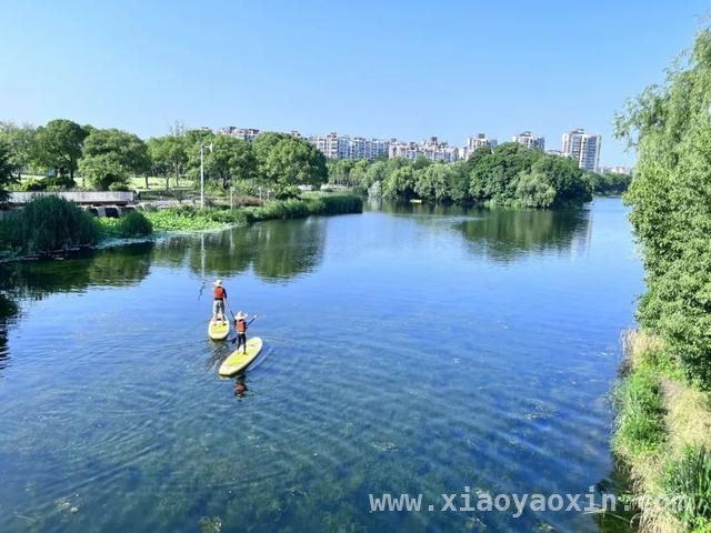 纬五河蜕变：超大城市水环境治理的成功样本