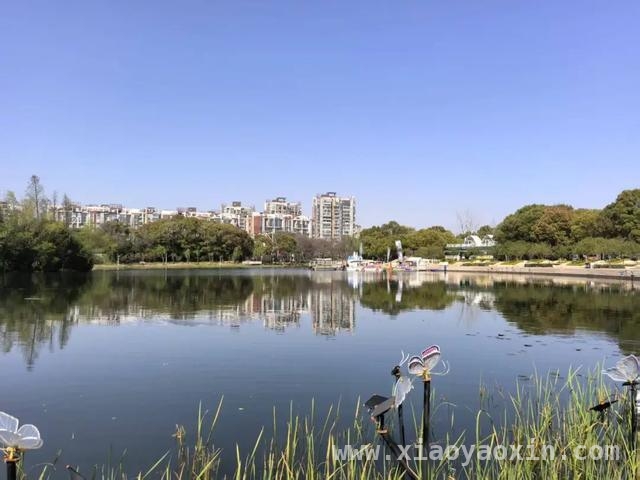 纬五河蜕变：超大城市水环境治理的成功样本