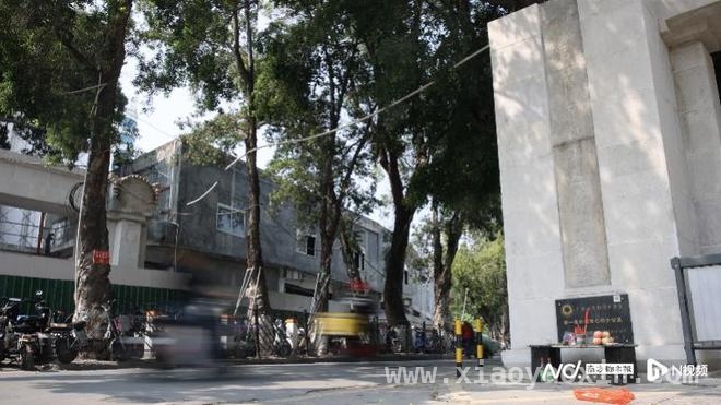 广州“凯旋门”背后：十九路军淞沪抗日的悲壮史诗