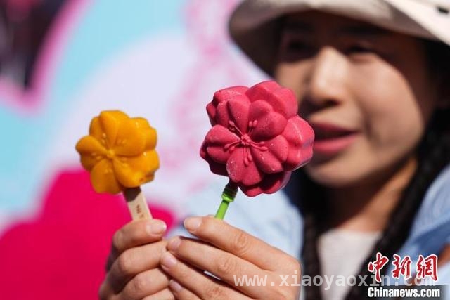 春季花食：传统食俗的创新与消费新风尚，花食飘香，春日消费与文旅的双重盛宴