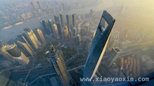上海一揽子政策助力民营经济，企业感受成评价标尺