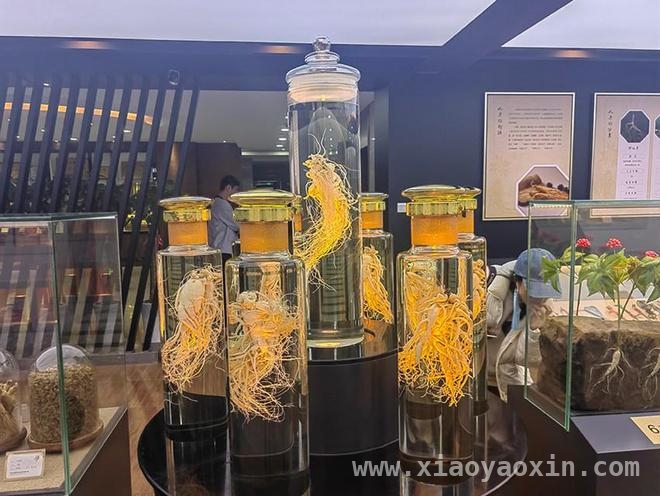 延吉人参产业：科技创新驱动经济增长新引擎，科技创新助力，延吉人参产业焕新活力