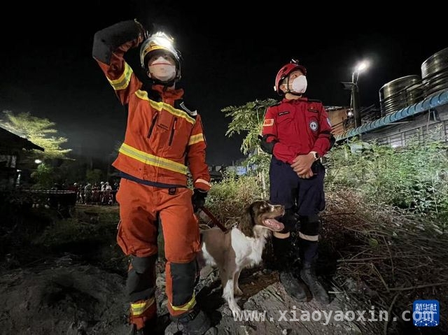 被困125小时！中国香港特区救援队助力缅甸救援成功救人