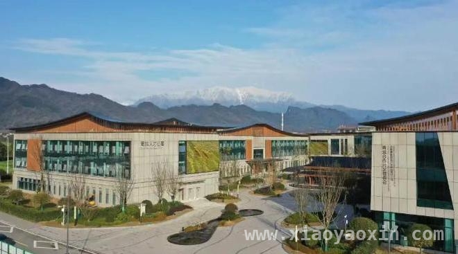 西南首个裸眼3D技术创新中心即将落户青城园区，产业发展再添新动力，威凤裸眼3D技术创新中心4月投运，天府软件园青城园区开启新征程