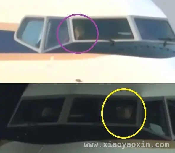 拉玛十世获航空航天荣誉博士，泰国皇室风云涌动，72岁泰王拉玛十世再添博士头衔，苏提达欧拉弄同场有何看点？