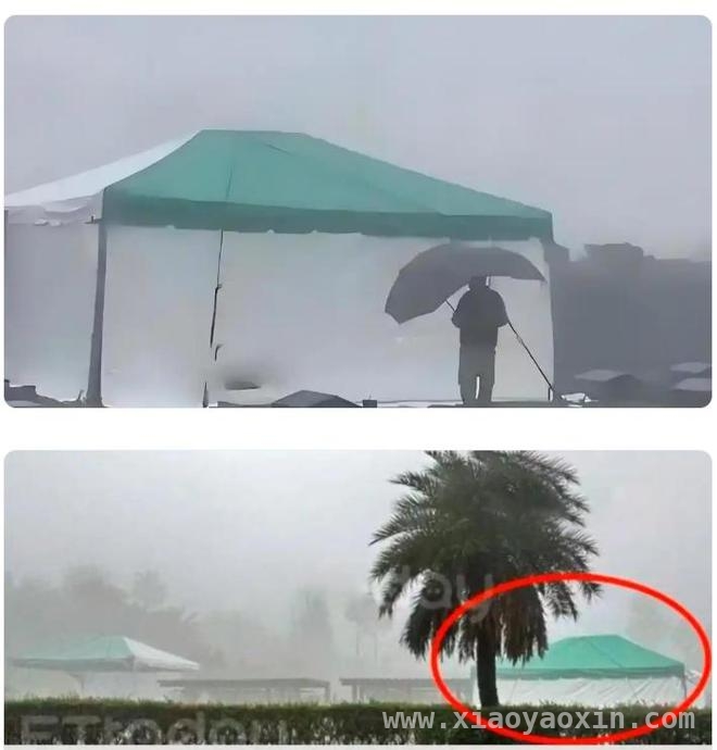大S清明祭，汪小菲遭拒具俊晔深情背后真相几何？，清明大S墓前，“民俗”与亲情的残酷碰撞