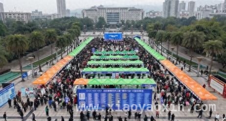 重庆三年行动：开启农民工就近就业新篇章
