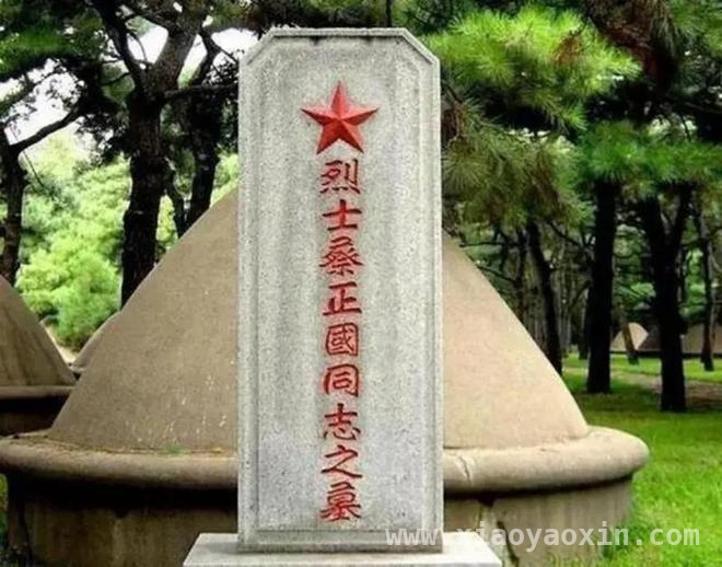从懵懂学生到身世揭秘：董耀东的传奇人生转折，战火中的亲情与荣耀：蔡小东的非凡人生历程