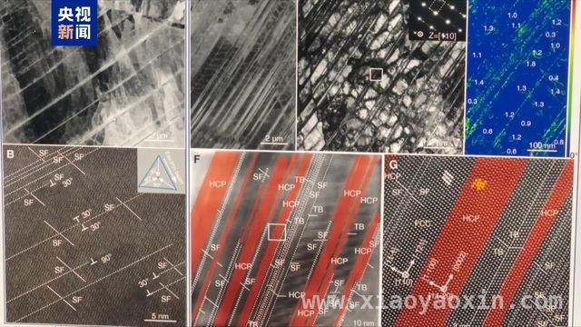 金属材料新变革：中国科研团队搭“钢筋骨架”，开启稳定新时代