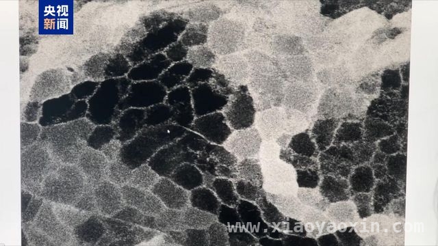 金属材料新变革：中国科研团队搭“钢筋骨架”，开启稳定新时代