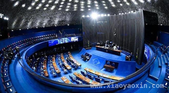 全票通过！巴西“经济对等法案”剑指外贸利益保护，巴西参议院通过“经济对等法案”，应对美国关税挑战