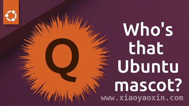 Ubuntu 新系统代号“Quizzical Quokka”，古怪命名引热议！，Ubuntu 25.10 代号“好奇的短尾矮袋鼠”，背后暗藏何种玄机？