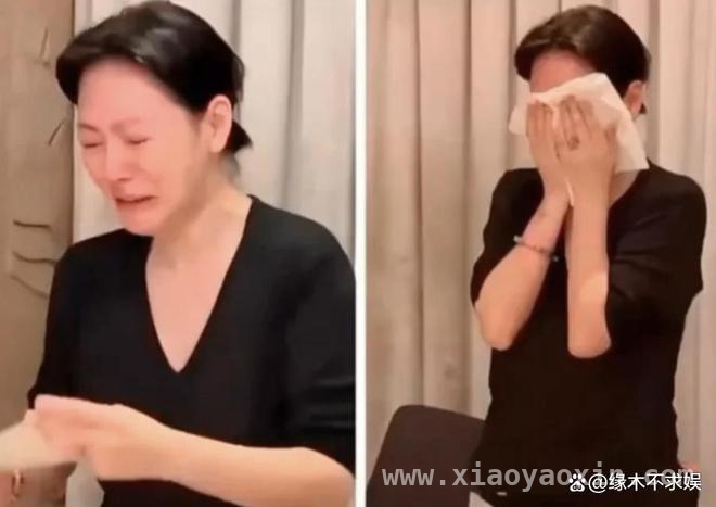 沉寂后爆发！小S痛斥造谣者，承载姐姐心愿待复工