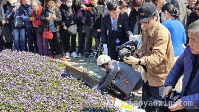 揭秘：为何家属为亲人选择花坛葬？