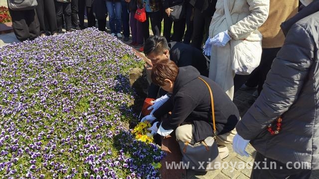揭秘：为何家属为亲人选择花坛葬？