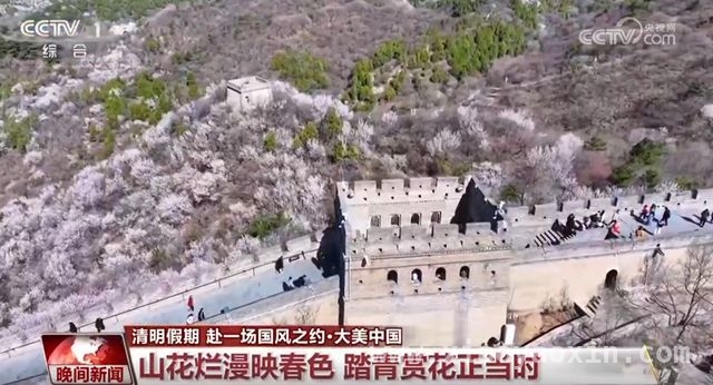 清明时节：全国多地开启春日旅游盛景，清明假期：感受自然之美，邂逅春日惊喜