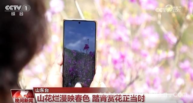 清明时节：全国多地开启春日旅游盛景，清明假期：感受自然之美，邂逅春日惊喜