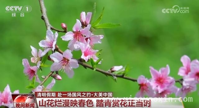 清明时节：全国多地开启春日旅游盛景，清明假期：感受自然之美，邂逅春日惊喜