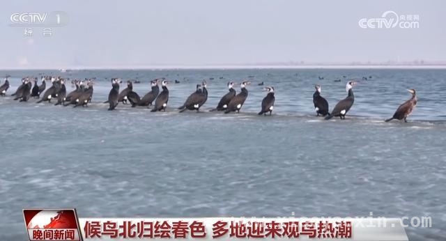 清明时节：全国多地开启春日旅游盛景，清明假期：感受自然之美，邂逅春日惊喜